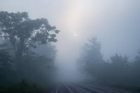 what is fog